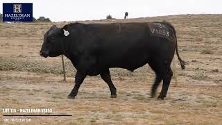 LOT 115   HAZELDEAN V1853