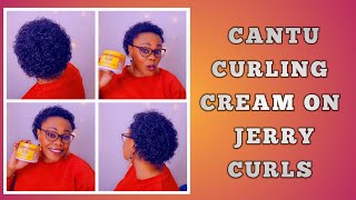 HOW CANTU COCONUT CURLING CREAM DEFINE MY JHERI CURLS | CURLY PERM
