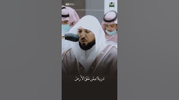 تلاوة تخطف القلب والروح 🥺🤍🤍 #ماهر_المعيقلي #ماهرالمعيقلي #قرآن #قران