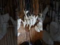 Shark's teeth 🦈 #collection #shopping #sharkteeth #necklace