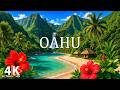 Oahu, Hawaii 4K - Exploring Hawaii's Stunning Beaches and Volcanic Wonders - 4K VIDEO UHD
