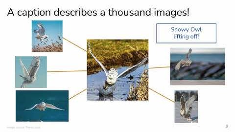 Learning Visual Representations via Language-Guided Sampling (CVPR 2023)