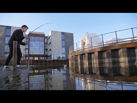 Video: En Fisk Med Menneskelige Tenner Ble Fanget I Nærheten Av Chelyabinsk - Alternativ Visning