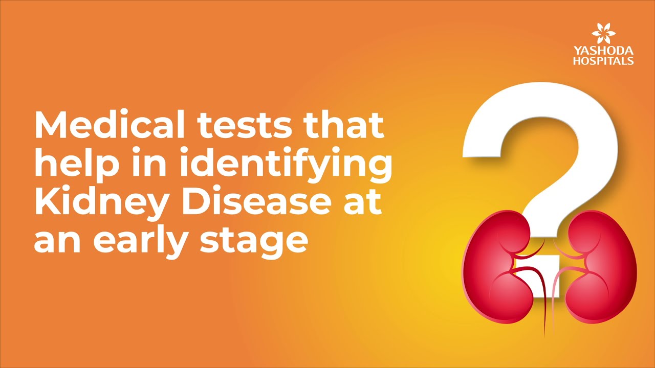 Medical tests that help in identifying Kidney Disease at an early stage ...