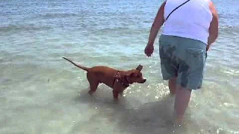 Joe having a "hoppin" time at the beach!