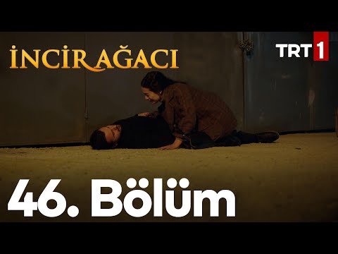 İncir Ağacı 46. Bölüm