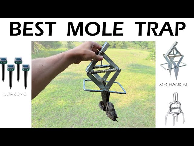 ALLRoad Mole Trap, Scissor Mole Trap That Kill Best, Powerful Eliminator  for Lawn Reusable Black Vole Traps Non-Toxic and Easy Setup