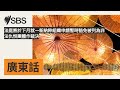 法庭將於下月就一新納粹組織申請暫時豁免被列為非法仇恨團體作裁決 | SBS Cantonese - SBS廣東話節目