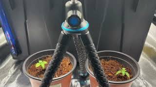 2x2 Grow Tent | Update
