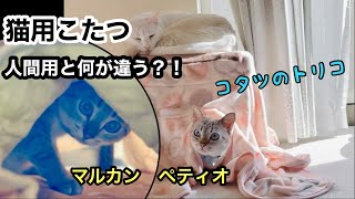猫用こたつ】遠赤外線にゃんこの和みこたつLサイズをレビューしてみた