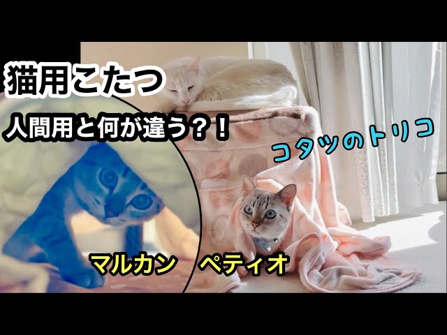 猫用こたつ】遠赤外線にゃんこの和みこたつLサイズをレビューしてみた