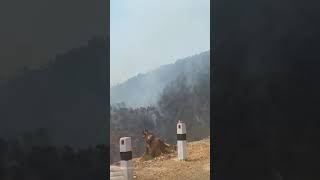 On The Way To Swargadwari