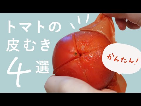 【トマトの皮むき】簡単＆失敗しない！トマトの皮むき4選【どこよりも詳しく】