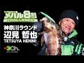 メバル8耐チャレンジ 神奈川ラウンド 辺見哲也編