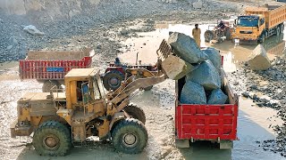 Heavy Rock 🪨 Loading by Caterpillar 966 Loader ! Powerful Dump truck Loading Video 🎦 