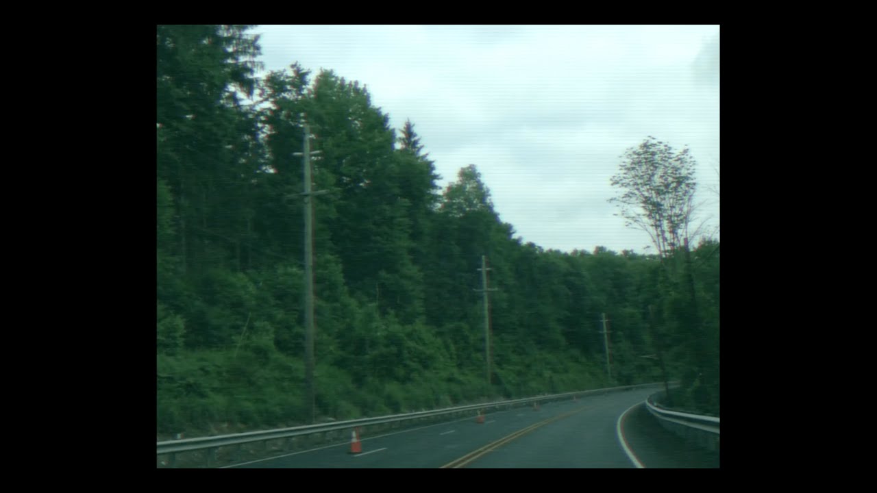 enter the forest, forget life [official music video]