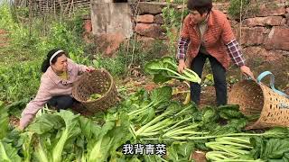 一天不见踪影的杨大毛，原来是出去做这样的事，他的话让妈妈和柳妹觉得可信吗？#家庭 #我的乡村生活 #记录真实生活 #农村生活