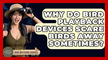 Why Do Bird Playback Devices Scare Birds Away Sometimes? - Bird Watching Diaries