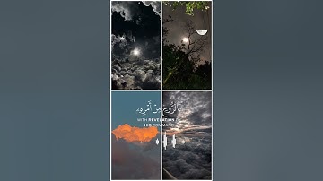 #قرآن #قران_كريم #اكسبلور #تلاوة_خاشعة #دويتو #لايك #duet #حالات_واتس #راحة_نفسية #تيك_توك