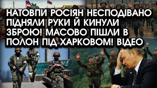 Натовпи росіян несподівано ПІДНЯЛИ РУКИ й кинули зброю! Масово пішли в полон під Харковом! Відео