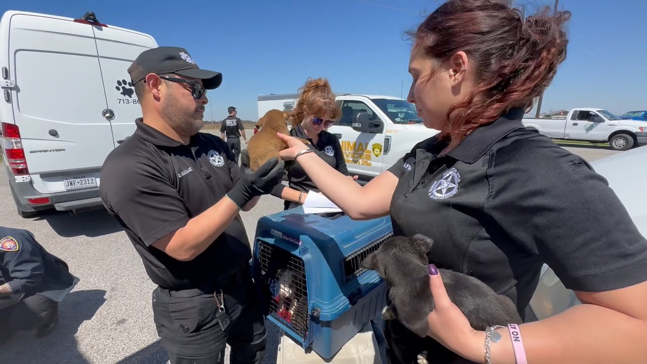 Houston SPCA 2025 Mission Video