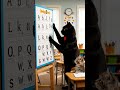 cat teaching A B C D E F G H I J K L M N O P Q R S T U V W X Y Z