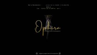 .Ophira | private voice intelligence