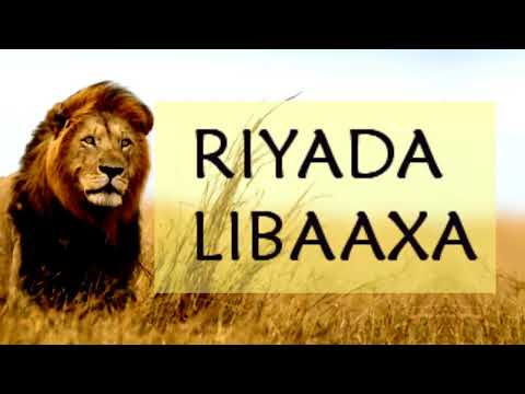 Riyada Libaaxa Guriga Imaanayo Ama Qof Soo Weeraraya Rag Iyo Dumarba Maxaa Lagu Fasiraa