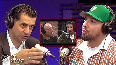 How Joe Rogan Ended Brendan Schaubs UFC Career