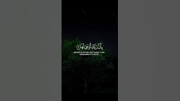 سورة الزلزلة#زلزال_تركيا #اسطنبول#تركيا #يارب_رحمتك #يالطيف#ياسر_الدوسري #تلاوة_خاشعة#القرآن_الكريم