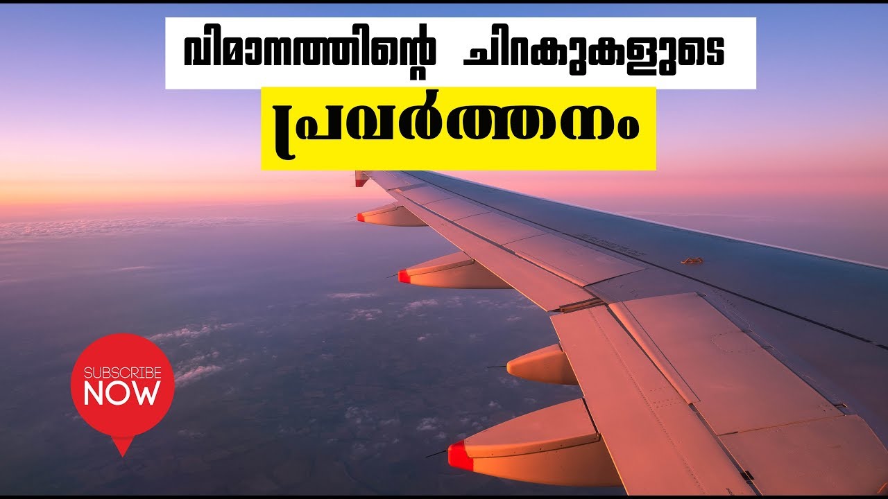 How do airplane wings work in Malayalam വിമാനം മലയാളം najeeb YouTube