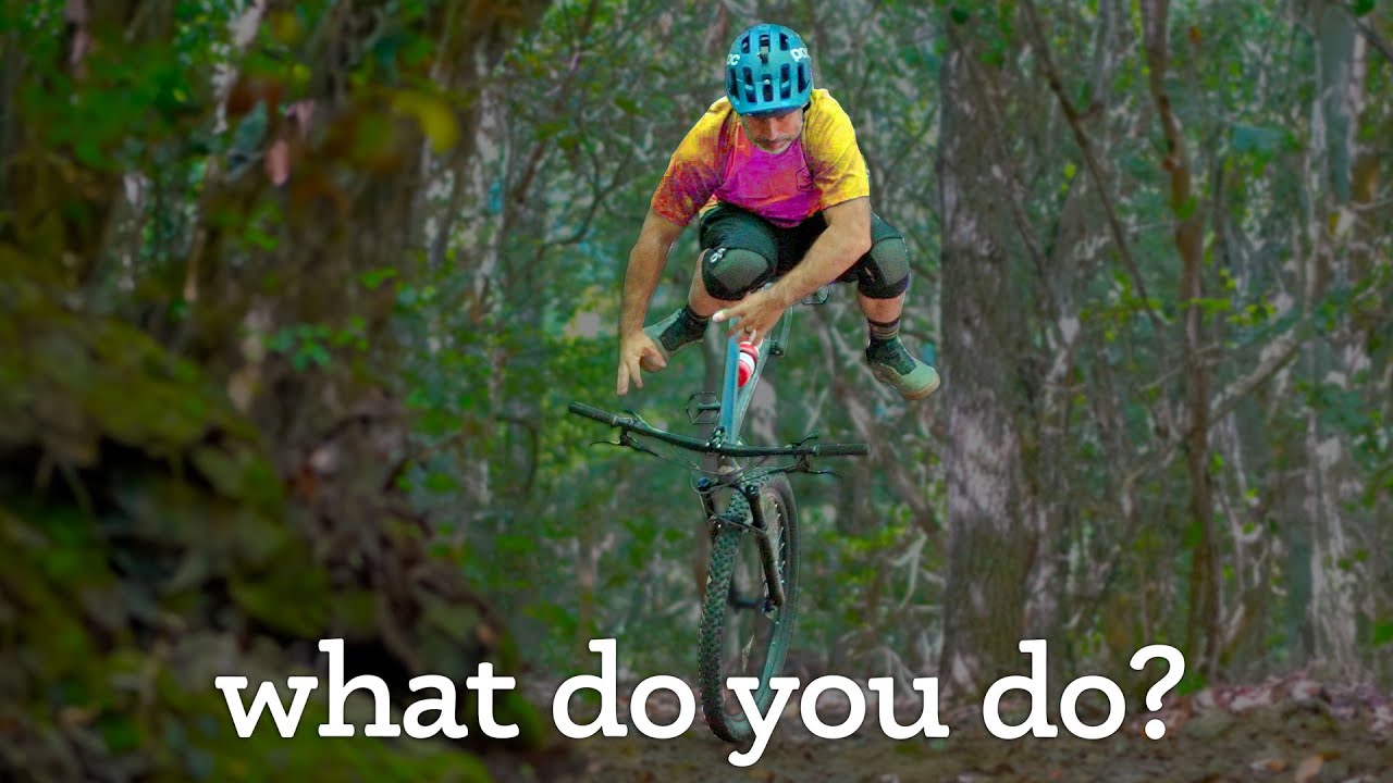 So you're about to crash your MTB—Now what?