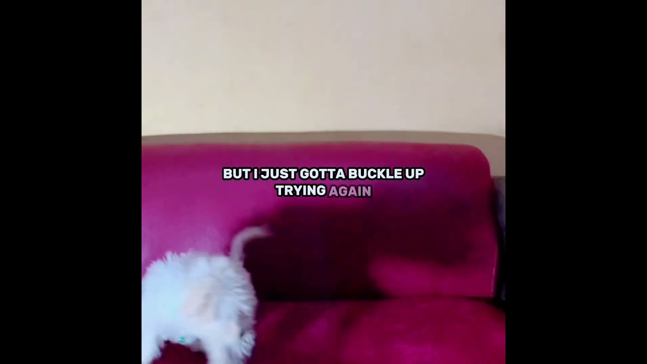 How are Nigerians coping in this economy?? 