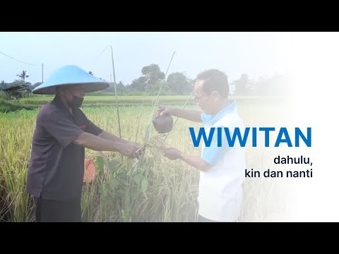 Wiwitan: Dahulu, Kini dan Nanti a Documentary