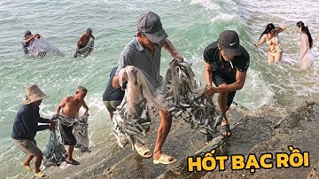 Bác Chài Cá U70 May Mắn - Sửng Sốt Trước Cảnh Tượng Chài Trúng Đàn Cá Khủng Chưa Từng Có Tại Bãi Tắm