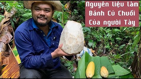 Lên rừng tìm nguyên liệu làm bánh củ chuối của dân tộc Tày Bắc Kạn.