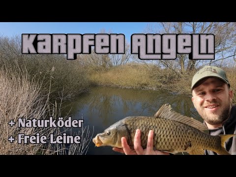 Video: B altischer Lachs: Lifestyle und Angeln