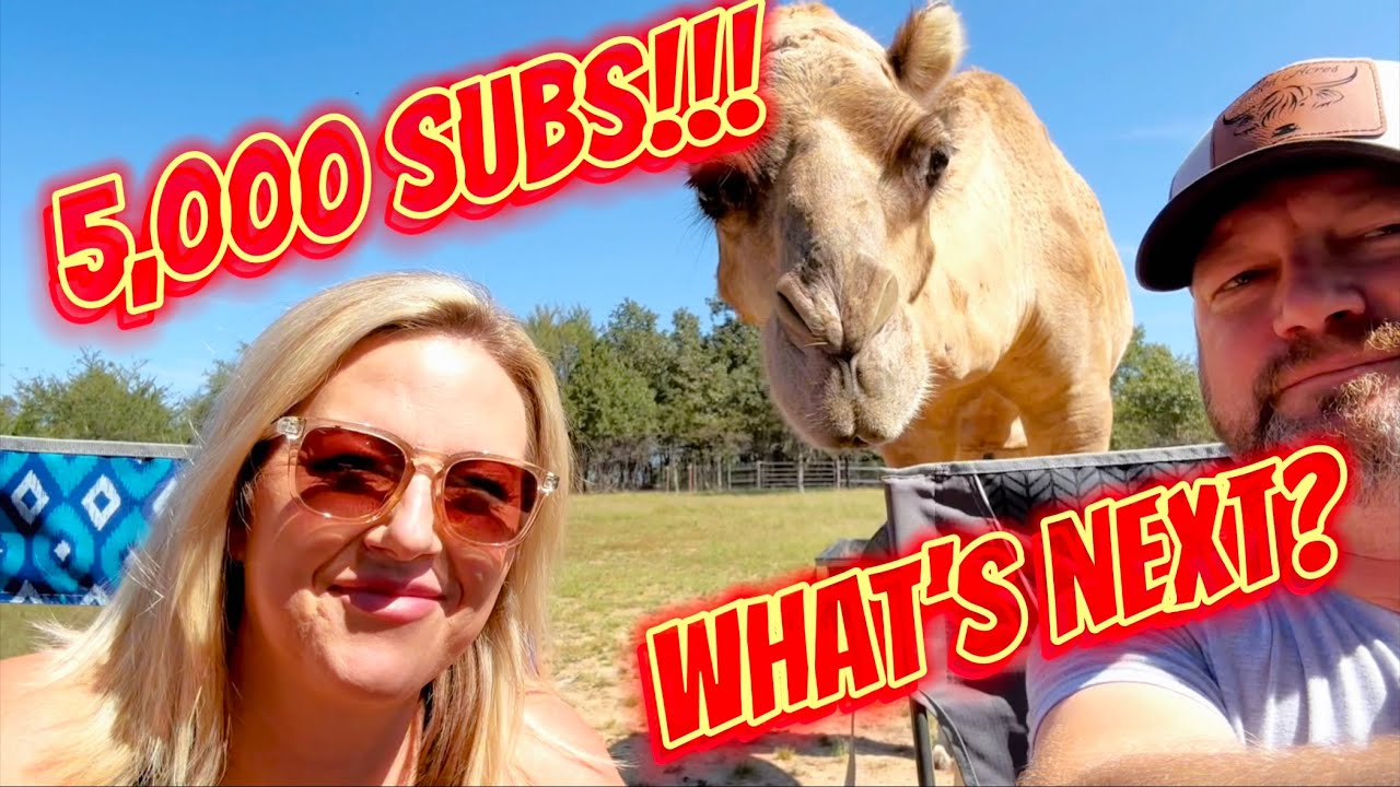 5,000 subscribers!  Thank you!  // Who are the Junods? // What’s next? // New Animals?