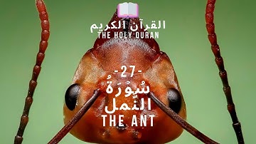 القرآن الكريم : (27) سُوۡرَةُ  النَّمل  -  An Naml - THE ANT -