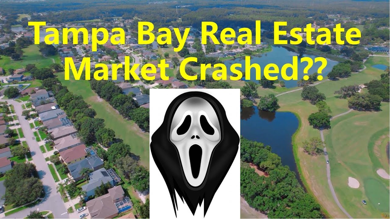 Tampa Real Estate Market Crashed?? YouTube