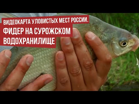 Фидер на Сурожском водохранилище \ Видеокарта уловистых мест России.