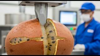 Why This Rare Fruit is So Clear 🧊 Inside the Massive Matoa Extraction Factory 🏭