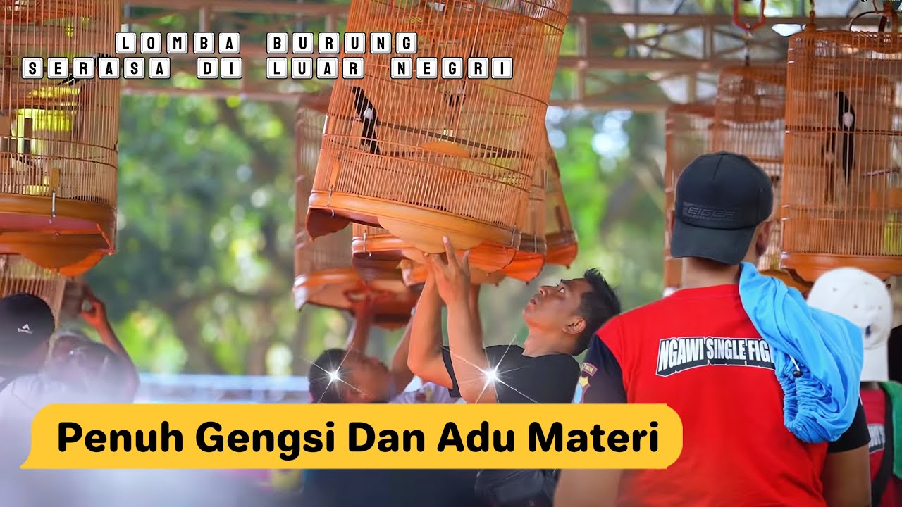 Piala Raja 2024 Piala Dunianya para Kicau mania Indonesia.