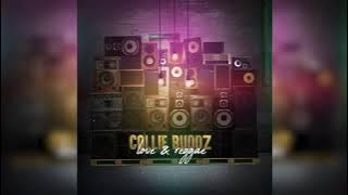 Collie Buddz - Love & Reggae