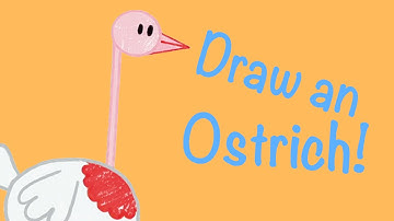 How To Draw An Ostrich