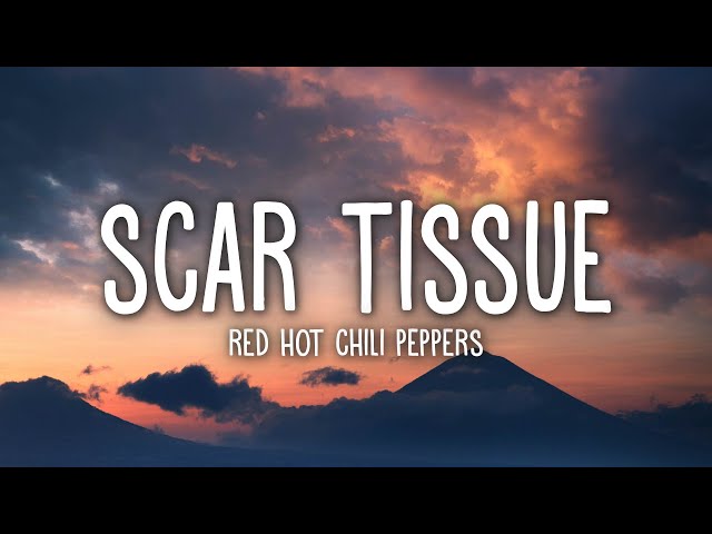 Red Hot Chili Peppers - Scar Tissue (Lyrics) class=