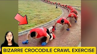 Bizarre crocodile crawl exercise