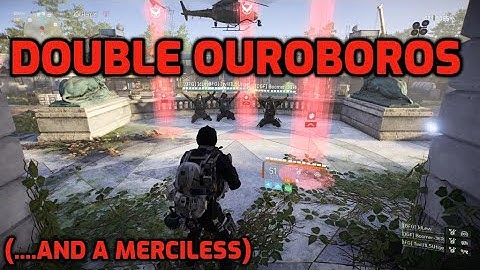The Division 2 Incursion Paradise Lost Incursion Love Birds Blue Door (With Double Ouroboros Drop)