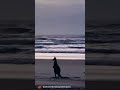 Smoky Cape