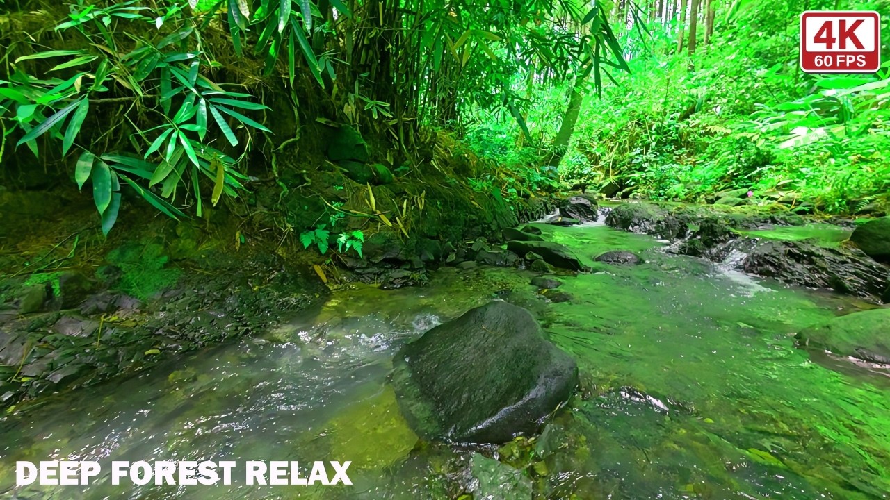 Wash Away Your Anxiety: Soothing River Sounds & Gentle Birds for Mental Clarity